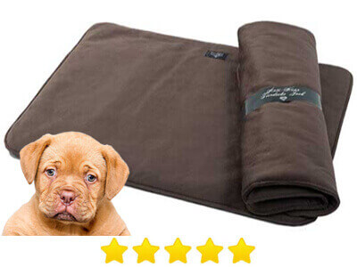 Anti Haar Hundedecken Jack von S bis XXL
